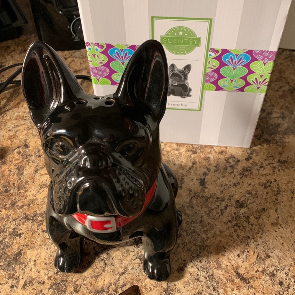 Scentsy wax warmer